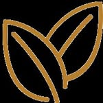 John Prins - @dwc.tuinen - Instagram