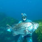 John Prins - @dhutime - Instagram