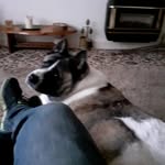 John Pritt - @double_jj_discos - Instagram
