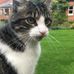 John Probert - Facebook