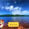John Procell - @john.procell - TikTok
