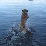 John Prohaska - @prohaskajohn - Instagram