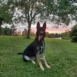 John Provence - @j95990655 - Instagram
