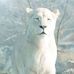 John Powell - Facebook