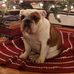 John S. Przybylo - Facebook