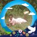 Pendo John - Facebook