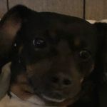 John pugh - @john_pugh_ - Instagram