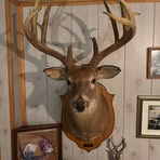 John Pugh - Facebook