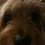 John pullen - @pullen3148 - Instagram