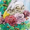 johnson.purdie - @johnson.purdie - TikTok