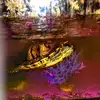 John Purdy - @john.purdy0 - TikTok