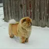 johnpurdy328 - @johnpurdy328 - TikTok