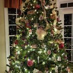 Denise John Brandon Puskar - @denise_john_brandon_puskar - Instagram