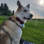 John Puskar - @johnpuskar - Instagram
