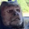 johnquan2 - @johnquan2 - TikTok