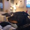 John Quaranta - @user35437898 - TikTok