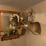 John Quinlan - @john.quinlan3 - Instagram