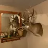 john quinlan - @johnmq1 - TikTok