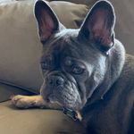 John Rabalais - @jrab107 - Instagram