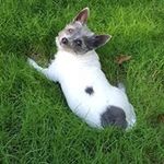 John B Rabon - @john.b.rabon - Instagram