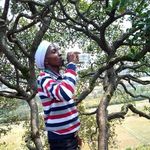 John Rabon Wangari - @johanawangari - Instagram