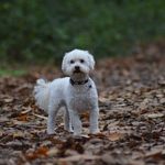 Danielle is my fav daughter - @john.rackley.5 - Instagram
