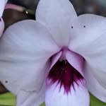 John Jaye Rackley - @nhojeyaj - Instagram