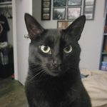 John Rackley - @jeeperjohn83 - Instagram