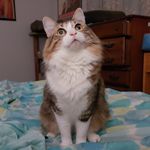 John Rackley - @awesome_john_83 - Instagram