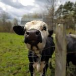 John A Rader - @johnrader14701 - Instagram