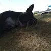 johnrader981 - @johnrader981 - TikTok