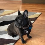 JOHN RADICE - @johnradice4040 - Instagram