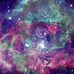 John Rafuse - Facebook