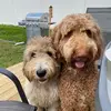 Jon Rahman - @jon_uma - TikTok