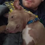 John Rahn - @rahn1100 - Instagram