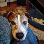 John Raines - Facebook