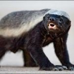 John Rainey - @jmrainey69 - Instagram