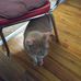 John Rallo - Facebook