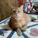 John Rallo - @john.rallo.33roca - Instagram