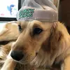 John Ralph - @dodedoooooo - TikTok