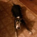 John Ramey - @john.ramey.1401 - Instagram