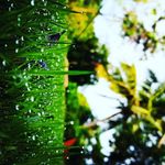 John Rampalli - @johnrampalli - Instagram