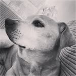 John Ramsden - @rubes590 - Instagram