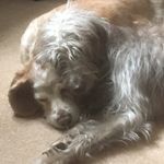 John Ramsden - @ramsden137 - Instagram