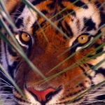 John Ramsden - @jango1357 - Instagram