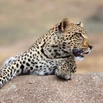 John Ramsden - @ramsdenje - Instagram