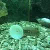 John Randles360 - @johnrandles360 - TikTok