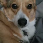 John Randles - @jrandles4 - Instagram
