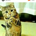 ஜனாஜன - @john____randy - Instagram