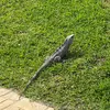 john randy - @fw.randy69 - TikTok